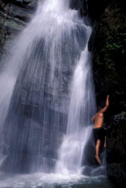 elyunque